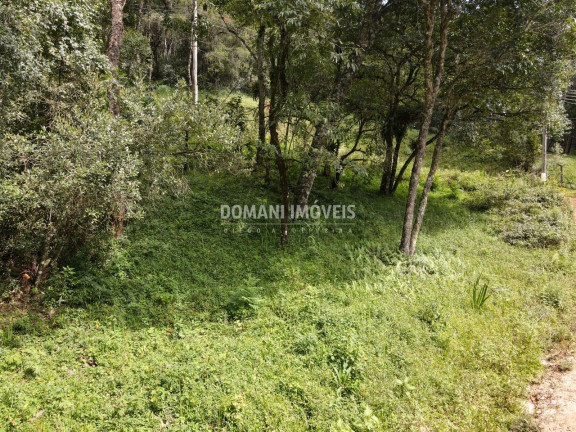 Imagem Terreno à Venda, 1.270 m² em Região Do Imbiri - Campos Do Jordão Imagem Terreno à Venda, 1.270 m² em Região Do Imbiri - Campos Do Jordão