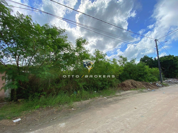 Imagem Terreno à Venda, 3.700 m² em Coroa Vermelha - Santa Cruz Cabrália