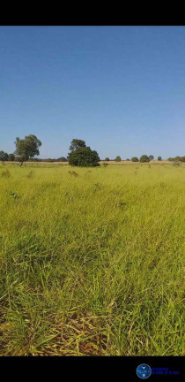 Imagem Fazenda à Venda, 46 m² em Zona Rural - Matrinchã Imagem Fazenda à Venda, 46 m² em Zona Rural - Matrinchã