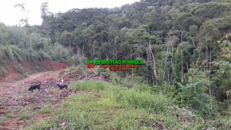 Imagem Chácara à Venda, 30.000 m² em Centro - Monteiro Lobato Imagem Chácara à Venda, 30.000 m² em Centro - Monteiro Lobato