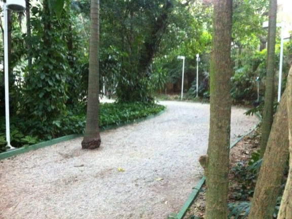 Imagem Imóvel com 4 Quartos à Venda, 149 m² em Chácara Flora - São Paulo