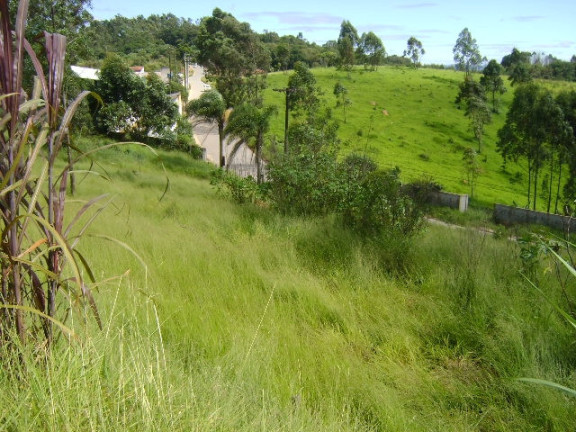 Imagem Imóvel Comercial à Venda, 7.400 m² em Terra Preta - Mairiporã Imagem Imóvel Comercial à Venda, 7.400 m² em Terra Preta - Mairiporã