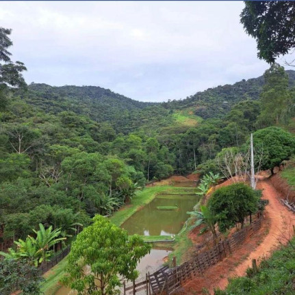 Imagem Imóvel com 3 Quartos à Venda, 135.000 m²