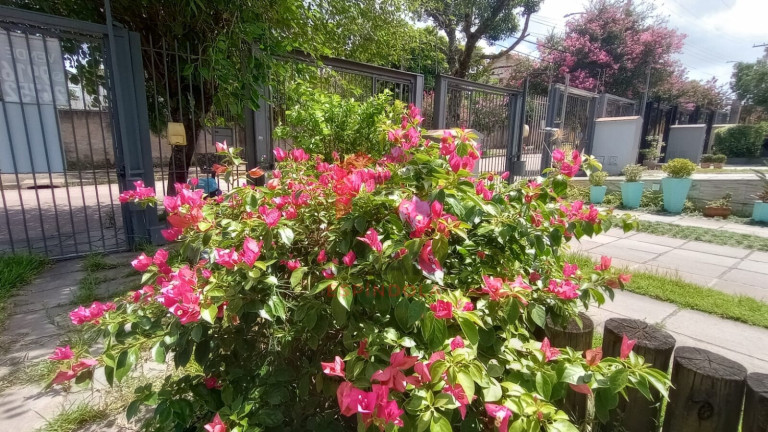 Imagem Casa com 2 Quartos à Venda, 101 m² em Jardim Itu - Porto Alegre Imagem Casa com 2 Quartos à Venda, 101 m² em Jardim Itu - Porto Alegre