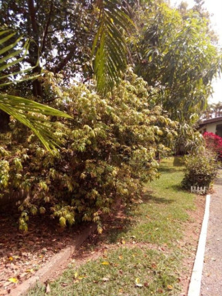 Imagem Imóvel com 3 Quartos à Venda, 350 m² em Chácara Cruzeiro Do Sul - Sumaré