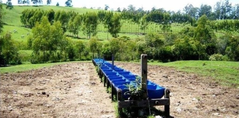 Imagem Fazenda à Venda, 300 m² em Centro - Guaratinguetá Imagem Fazenda à Venda, 300 m² em Centro - Guaratinguetá