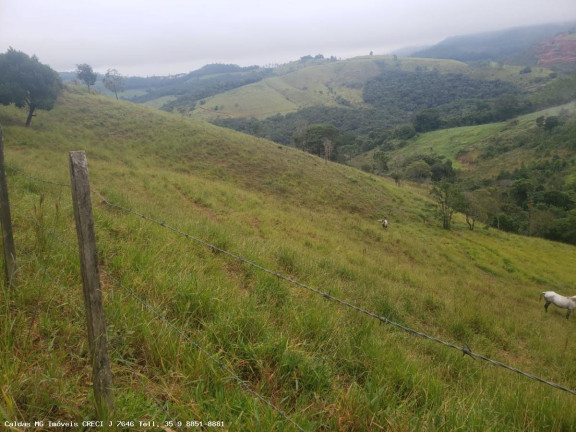 Imagem Chácara à Venda, 5 m² em Taquari - Caldas Imagem Chácara à Venda, 5 m² em Taquari - Caldas