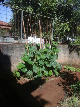Imagem Chácara com 3 Quartos à Venda, 296 m² em Vila Suzana - Mateus Leme