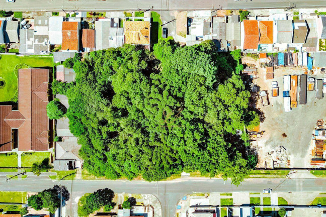 Imagem Terreno à Venda, 2.189 m² em Pinheirinho - Curitiba Imagem Terreno à Venda, 2.189 m² em Pinheirinho - Curitiba