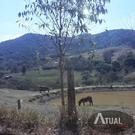 Imagem Chácara com 8 Quartos à Venda, 600 m² em Centro - Piracaia