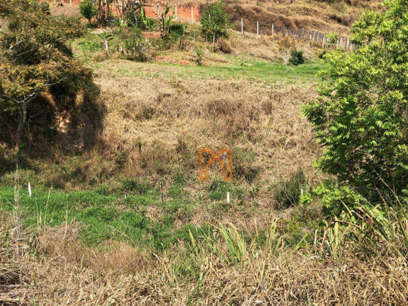 Imagem Fazenda à Venda, 17.000 m² em área Rural De Itajubá - Itajubá