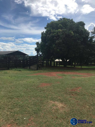Imagem Fazenda à Venda, 988 m² em Zona Rural - Peixe Imagem Fazenda à Venda, 988 m² em Zona Rural - Peixe