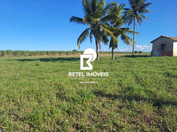 Imagem Terreno à Venda, 2.000 m² em Bom Jardim - São Francisco De Itabapoana Imagem Terreno à Venda, 2.000 m² em Bom Jardim - São Francisco De Itabapoana