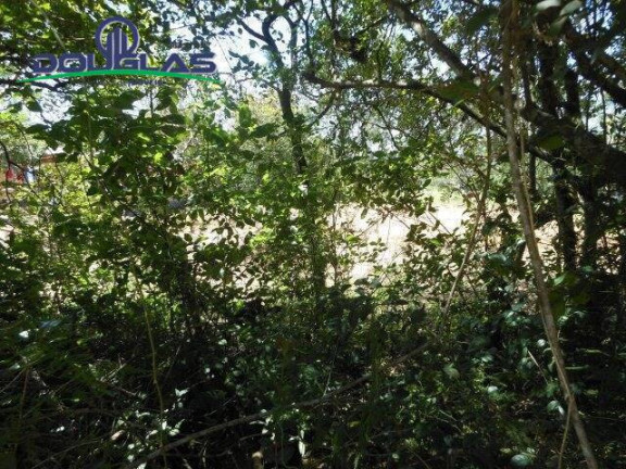 Imagem Terreno à Venda, 800 m² em Viamão