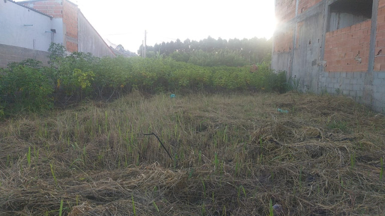 Imagem Imóvel à Venda, 300 m² em Santa Cruz - Aracruz