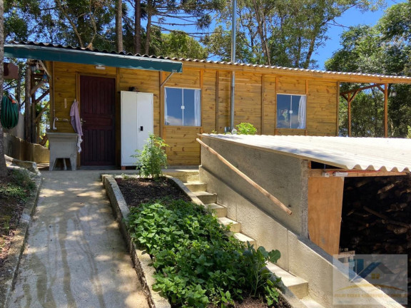 Imagem Chácara com 2 Quartos à Venda, 2.800 m² em Barro Preto - São José Dos Pinhais