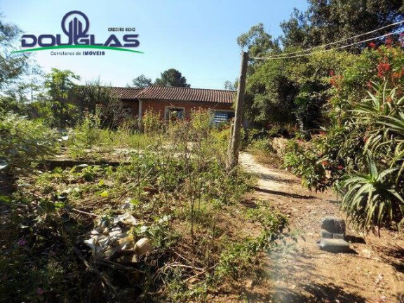 Imagem Imóvel Comercial à Venda, 5.000 m² em águas Claras - Viamão