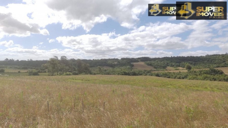 Imagem Imóvel com 2 Quartos à Venda, 240.000 m² em Centro - Morro Redondo