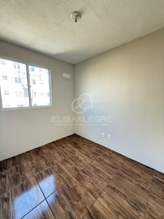 Imagem Apartamento com 2 Quartos à Venda, 40 m² em Camboim - Sapucaia Do Sul Imagem Apartamento com 2 Quartos à Venda, 40 m² em Camboim - Sapucaia Do Sul