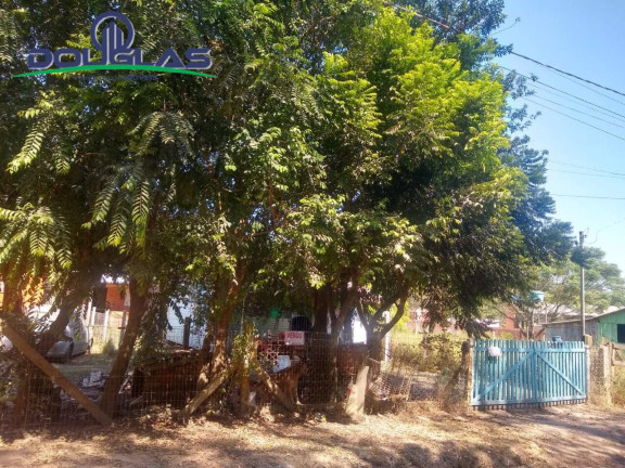 Imagem Casa com 2 Quartos à Venda, em Viamão Imagem Casa com 2 Quartos à Venda, em Viamão