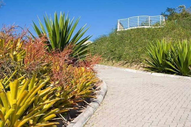 Imagem Terreno à Venda, 1.396 m² em Trindade - Florianópolis Imagem Terreno à Venda, 1.396 m² em Trindade - Florianópolis