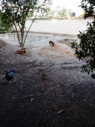 Imagem Imóvel com 2 Quartos à Venda, 150 m² em Jardim Baroni - Esmeraldas Imagem Imóvel com 2 Quartos à Venda, 150 m² em Jardim Baroni - Esmeraldas
