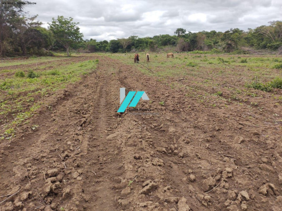 Imagem Fazenda à Venda, 82 m² em Zona Rural - Santo Hipólito Imagem Fazenda à Venda, 82 m² em Zona Rural - Santo Hipólito