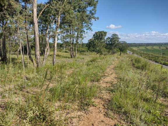 Imagem Terreno à Venda, 20.000 m² em Alto Perequê - Arroio Do Padre
