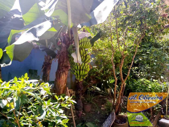 Imagem Casa com 3 Quartos à Venda, 77 m² em Mato Dentro - Ubatuba Imagem Casa com 3 Quartos à Venda, 77 m² em Mato Dentro - Ubatuba