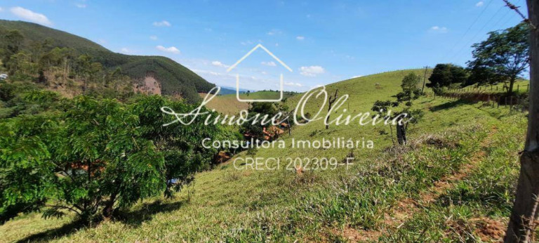 Imagem Chácara com 4 Quartos à Venda, 27.000 m² em Campinas - Pindamonhangaba Imagem Chácara com 4 Quartos à Venda, 27.000 m² em Campinas - Pindamonhangaba