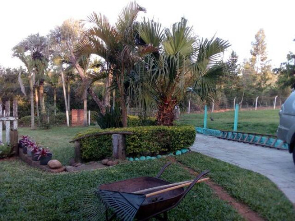 Imagem Casa com 3 Quartos à Venda, 600 m² em águas Claras - Viamão