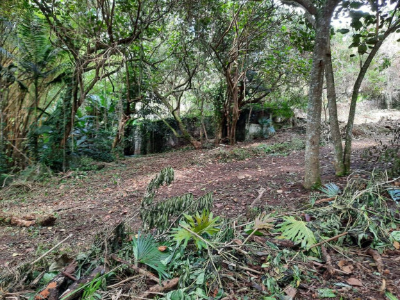 Imagem Terreno à Venda, 2.437 m² em Chácara Eliana - Cotia