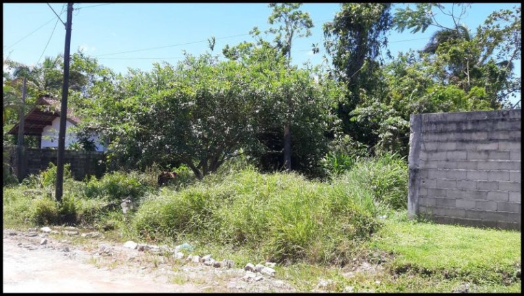 Imagem Terreno à Venda, 880 m² em Jardim Somar - Peruíbe