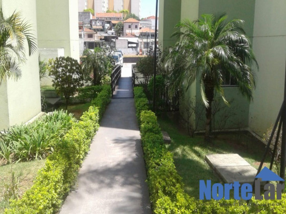 Imagem Apartamento com 3 Quartos à Venda, 60 m² em Vila Amélia - São Paulo Imagem Apartamento com 3 Quartos à Venda, 60 m² em Vila Amélia - São Paulo