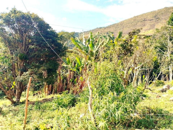 Imagem Fazenda à Venda, 70.000 m² em Sodrelândia - Trajano De Morais Imagem Fazenda à Venda, 70.000 m² em Sodrelândia - Trajano De Morais