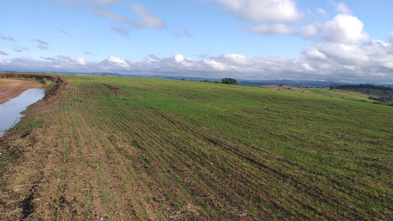 Imagem Fazenda à Venda, em Centro - Itaberá Imagem Fazenda à Venda, em Centro - Itaberá