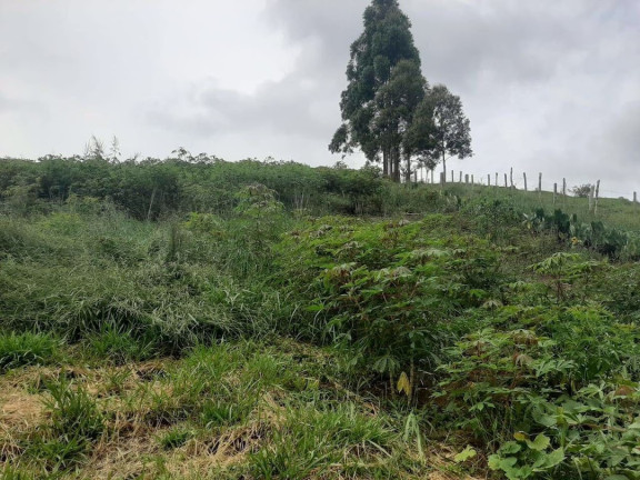 Imagem Chácara com 3 Quartos à Venda, 250 m² em Pouso Alto - Natividade Da Serra Imagem Chácara com 3 Quartos à Venda, 250 m² em Pouso Alto - Natividade Da Serra
