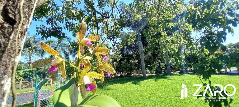Imagem Chácara com 3 Quartos à Venda, 2 m² em Jardim Wenzel - Rio Claro Imagem Chácara com 3 Quartos à Venda, 2 m² em Jardim Wenzel - Rio Claro