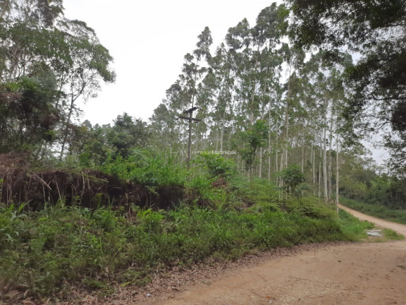 Imagem Fazenda à Venda, 127.997 m² em Pacotuba - Almirante Tamandaré