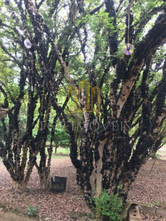 Imagem Chácara com 3 Quartos à Venda, 3.900 m² em Buquirinha Ii - São José Dos Campos Imagem Chácara com 3 Quartos à Venda, 3.900 m² em Buquirinha Ii - São José Dos Campos
