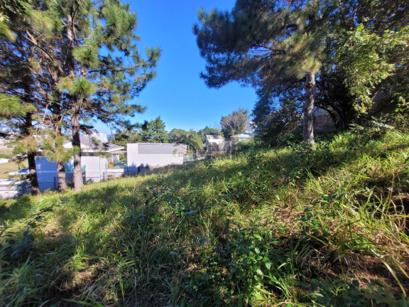 Imagem Terreno à Venda, 360 m² em Centro - Campo Bom Imagem Terreno à Venda, 360 m² em Centro - Campo Bom