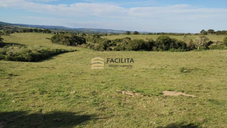 Imagem Imóvel com 3 Quartos à Venda, 760.000 m² em 3ºdistrito Boa Vista - Canguçu Imagem Imóvel com 3 Quartos à Venda, 760.000 m² em 3ºdistrito Boa Vista - Canguçu