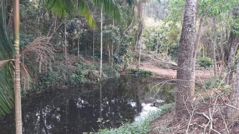 Imagem Imóvel à Venda, em Tocantins Km 103 - Tocantins Imagem Imóvel à Venda, em Tocantins Km 103 - Tocantins