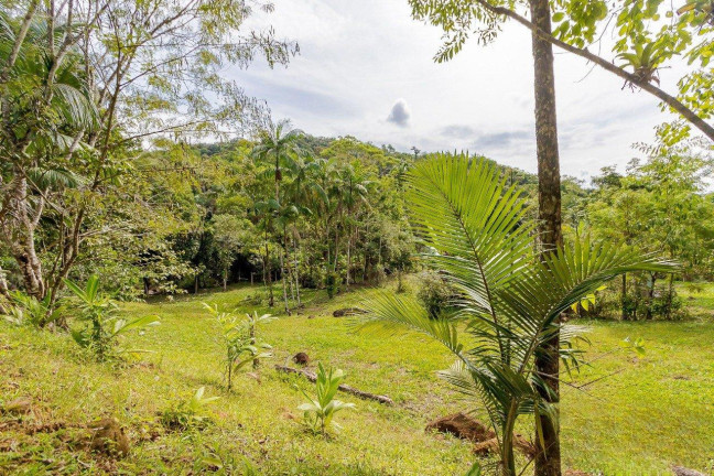Imagem Imóvel com 5 Quartos à Venda, 11.577 m² em Rio Sagrado - Morretes Imagem Imóvel com 5 Quartos à Venda, 11.577 m² em Rio Sagrado - Morretes