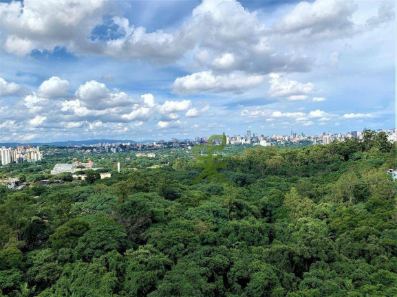 Imagem Apartamento com 4 Quartos à Venda, 140 m² em Vila Indiana - São Paulo