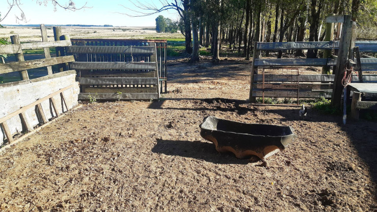 Imagem Terreno à Venda, 10 m² em Itaqui Imagem Terreno à Venda, 10 m² em Itaqui