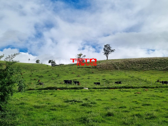 Imagem Imóvel à Venda, em Zona Rural - Pouso Alto Imagem Imóvel à Venda, em Zona Rural - Pouso Alto