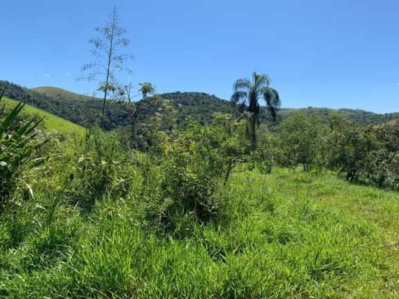 Imagem Chácara com 3 Quartos à Venda, 300 m² em Bom Sucesso - São José Dos Campos