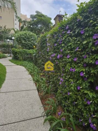 Imagem Apartamento com 3 Quartos à Venda, 70 m² em Taboão - São Bernardo Do Campo Imagem Apartamento com 3 Quartos à Venda, 70 m² em Taboão - São Bernardo Do Campo