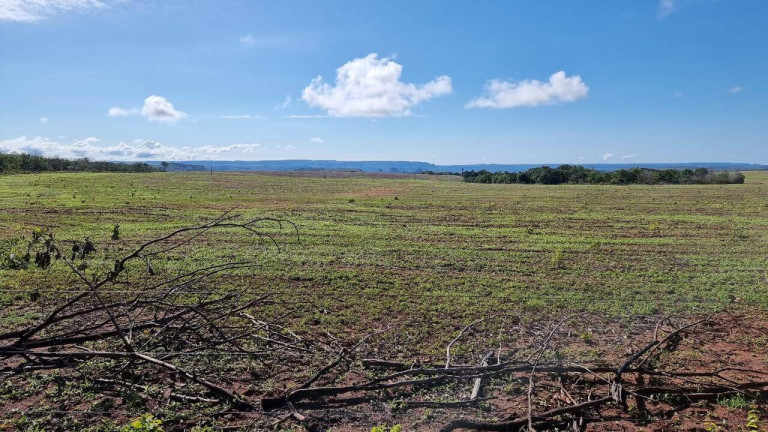 Imagem Fazenda à Venda, 2.400 m² em Paranatinga Imagem Fazenda à Venda, 2.400 m² em Paranatinga